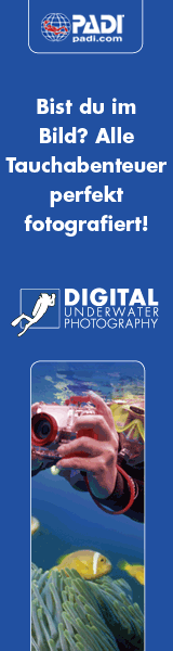 uw-photo-logo1