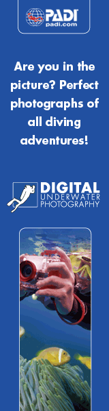 uw-photo-logo1