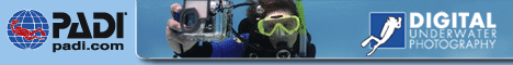 uw-photo-logo2